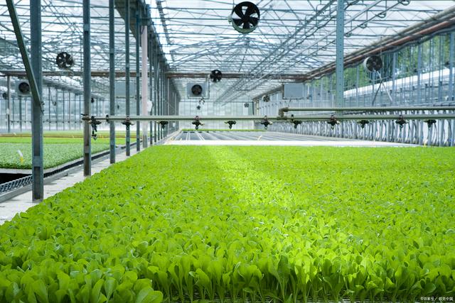 智慧農場小程序開發 引領農業新時代的創新與變革