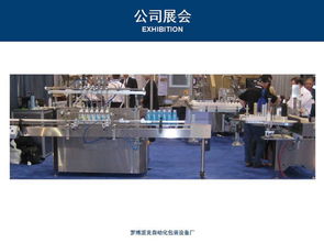 汕尾陸豐拉伸膜纏膜機說明書 高效包裝新選擇